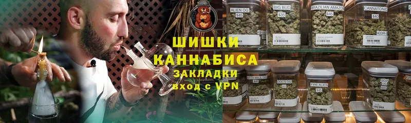 где можно купить наркотик  Истра  KRAKEN вход  Шишки марихуана конопля 